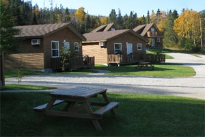 Viking Trail Accommodations